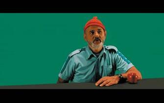 The Life Aquatic With Steve Zissou Bill Murray Wallpaper Art