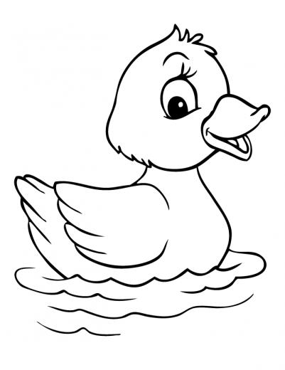 Colours Drawing Wallpaper Cute Duck Cartoon HD