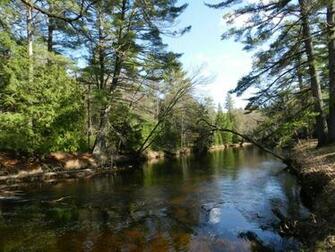 Spring River Wallpaper