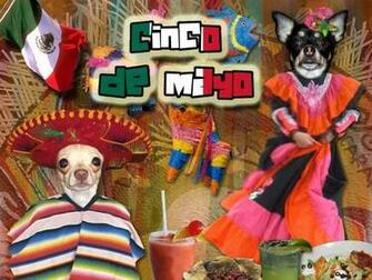 Cinco De Mayo Wallpaper HD