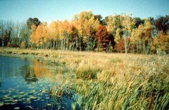 In This Zone Millions Of Meteors Melt And Vaporize While Entering The