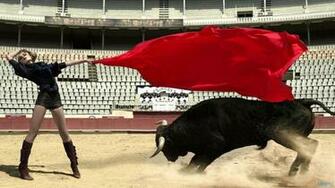 HD Wallpaper Bull Fighting