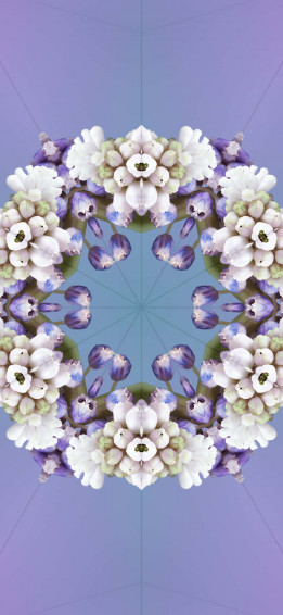 Ios Wallpaper
