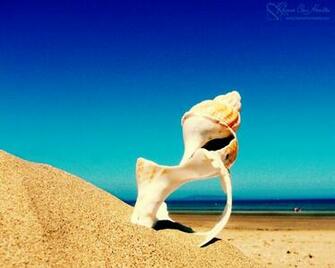 In The Sand Summer Desktop Wallpaper Find More