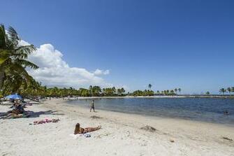 The Beach Lagoon At Matheson Hammock Park Provides Perfect