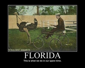 Ostrich Racing Demotivational Poster By Eunacis