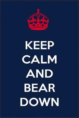 Arizona Wildcats Logo Bear Down