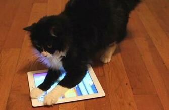 Make Your Old iPad Run Faster Csmonitor