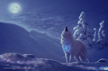 Wolf On Full Moon Winter Night HD Wallpaper Background Image