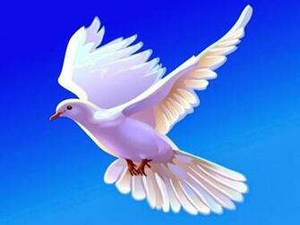 HD Wallpaper Dove Rabbit