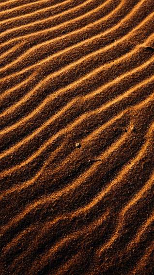 Brown iPhone Wallpaper