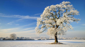 Winter Solstice Wallpaper