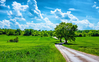Beautiful Summer Day Wallpaper