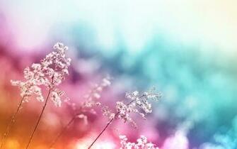 Abstract Colorful Desktop Background Wallpaper