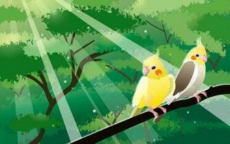 Cockatiel Wallpaper