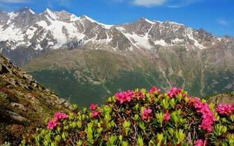 Spring In Mountains Wallpaper
