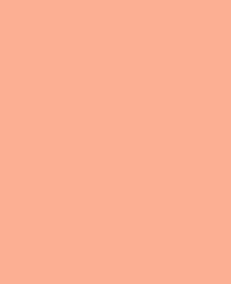 Peach Solid Color iPad Case Skin By Podartist
