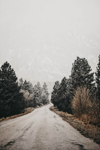 Snow Covered Trees And Road During Daytime Photo Grey Image