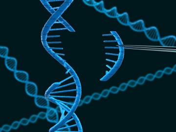 Researcher Finds Diabetes Related Mutation In Mexican Population