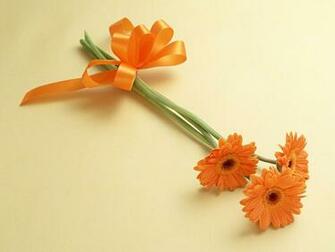 Nature Wallpaper Gerbera Daisies Flower