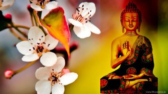 Gautam Buddha 4k UHD Wallpaper Buddhism Picture For Beautiful