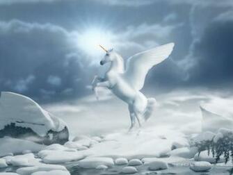 Beautiful Wallpaper White Horse