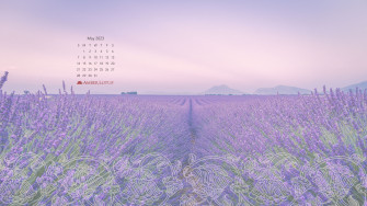 Calendar Wallpaper May To Amber Lotus