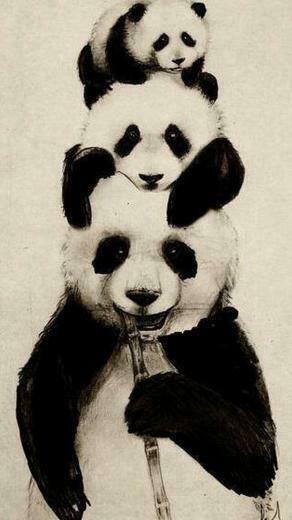 Panda iPhone Wallpaper