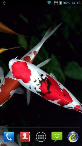 Koi Fish Live Wallpaper For Android By Amazing