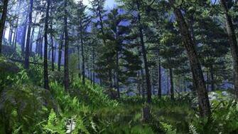 Taiga The Boreal Forest Biome In Canada Places Worth Visiting