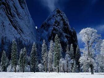 Dark Winter Desktop Pc And Mac Wallpaper