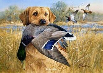 Hunting Dog By Jim Killen Wallpaper