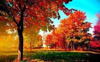 Fall Background Net