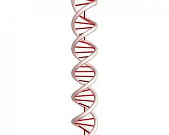 Dna Double Helix Wallpaper Image