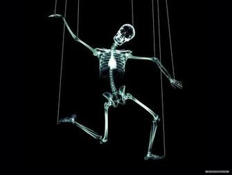 Wallpaper Art X Ray