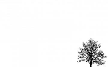 Simple White Aesthetic Wallpaper Top