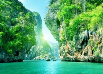 Summer Nature Wallpaper