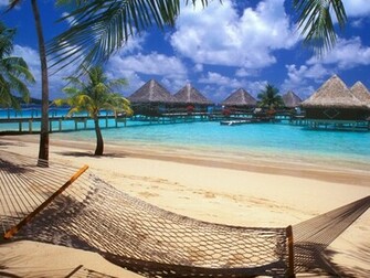 Tropical Wallpaper