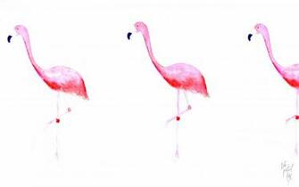 Flamingo Wallpaper HD Net
