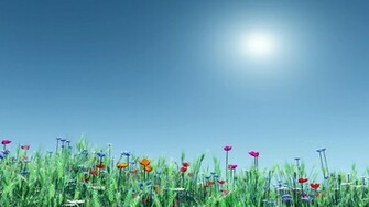 Summer Flowers Wallpaper