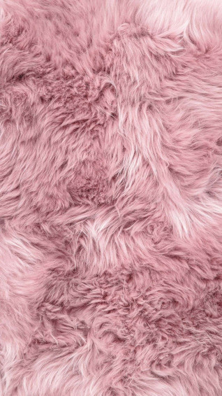 Furfrou Wallpaper