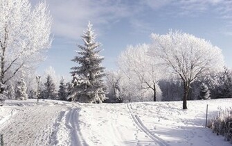 Nature Snow Desktop HD Wallpaper High Quality