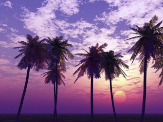 Beautiful Sunset A Wall Mural For Every Room Photowall