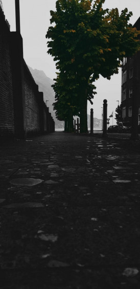 Samsung Note Dark Park Wallpaper