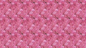 This Pink Hydrangea Desktop Wallpaper Is Easy Just Save The