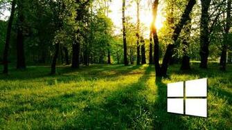 Windows In The Green Forest Simple Logo Wallpaper Computer