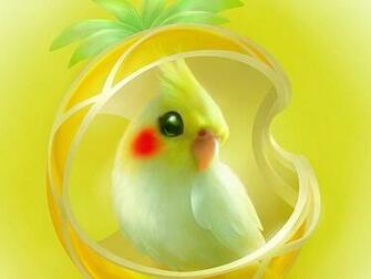 Parrot HD Wallpaper In This Picture A Abstract