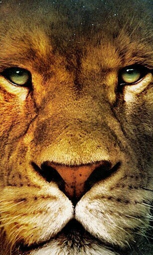 Aslan Wallpaper App For Android
