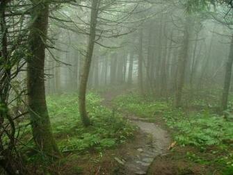 Appalachian Trail Vt To Kent Pond Backpacker