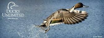 Check Out Ducks Unlimited S Other Social Media Networks